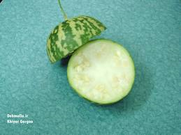 Citrullus colocynthis